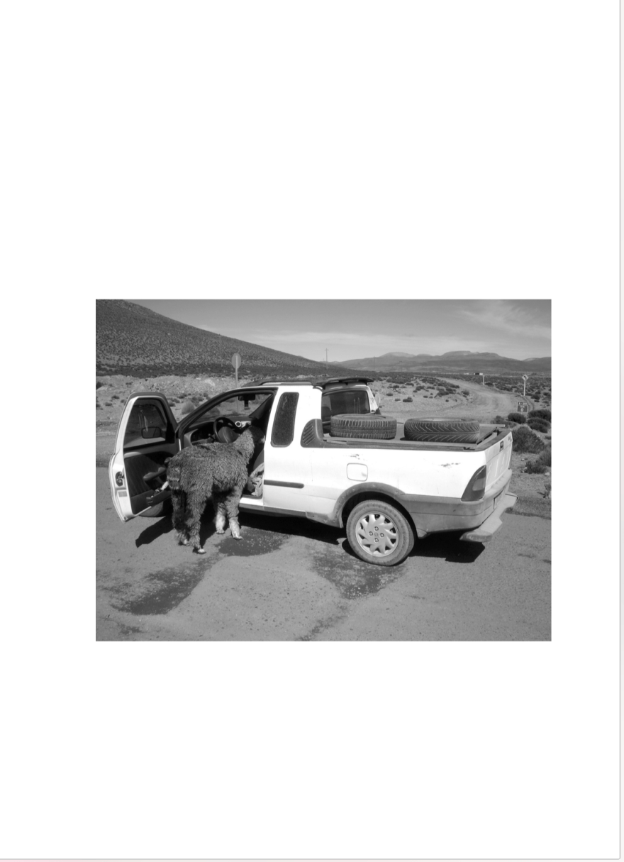 Screen Shot 2019-01-20 at 9.54.43 PM.png